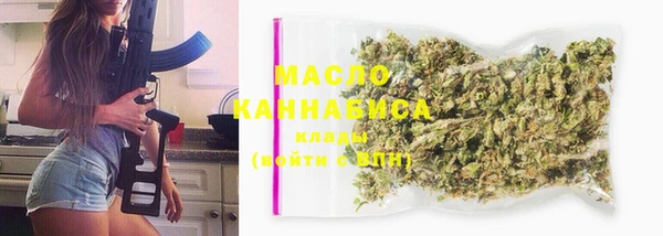 дживик Бородино
