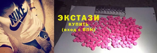 spice Богородицк