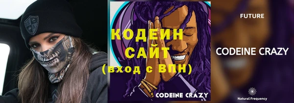 дживик Бородино