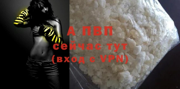 дживик Бородино