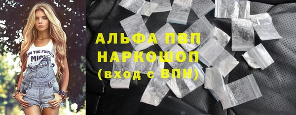 дживик Бородино