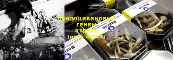 дживик Бородино
