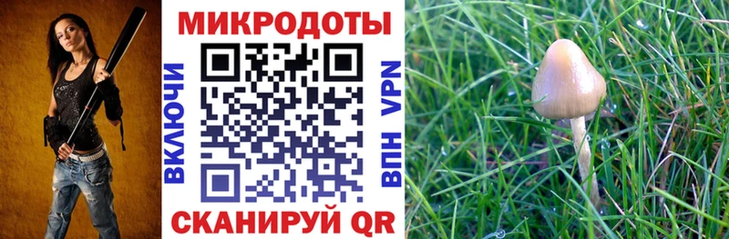 mega   Дюртюли  Галлюциногенные грибы мухоморы 